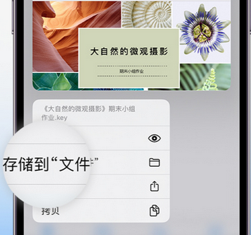 湘西apple维修中心分享iPhone文件应用中存储和找到下载文件