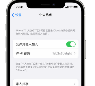 湘西apple服务站点分享iPhone上个人热点丢失了怎么办