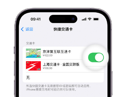 湘西apple维修点分享iPhone上更换Apple Pay快捷交通卡手绘卡面 