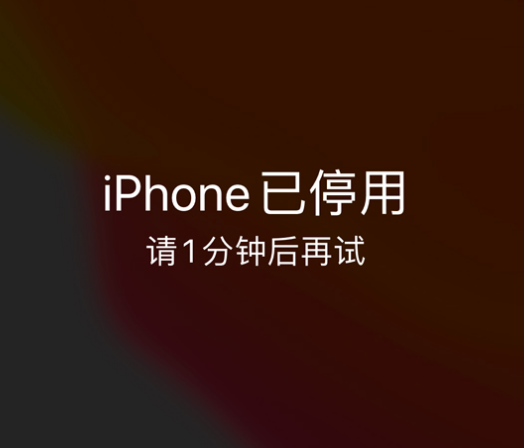 湘西苹果手机维修分享:iPhone 显示“不可用”或“已停用”怎么办？还能保留数据吗？ 