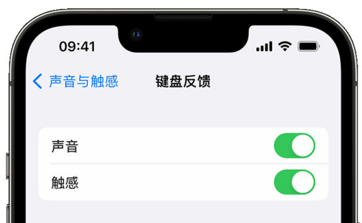 湘西苹果手机维修分享iPhone 14触感键盘使用方法 