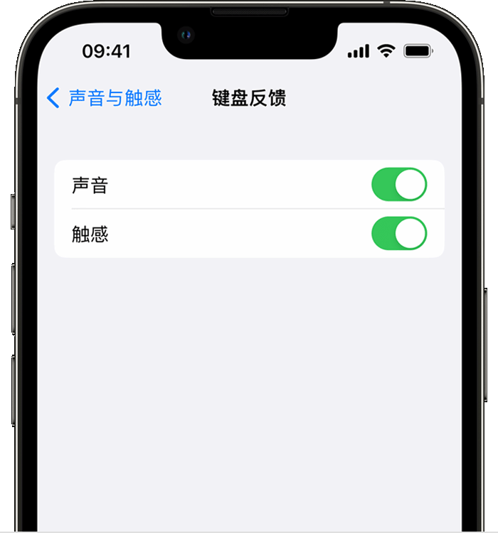 湘西苹果14维修店分享如何在 iPhone 14 机型中使用触感键盘 