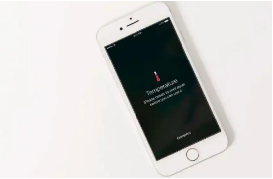 湘西苹果手机维修分享iPhone 手机发热如何快速降温 