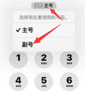 湘西苹果14维修店分享iPhone 14 Pro Max使用副卡打电话的方法 