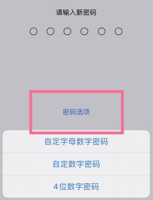 湘西苹果14维修分享iPhone 14plus设置密码的方法 