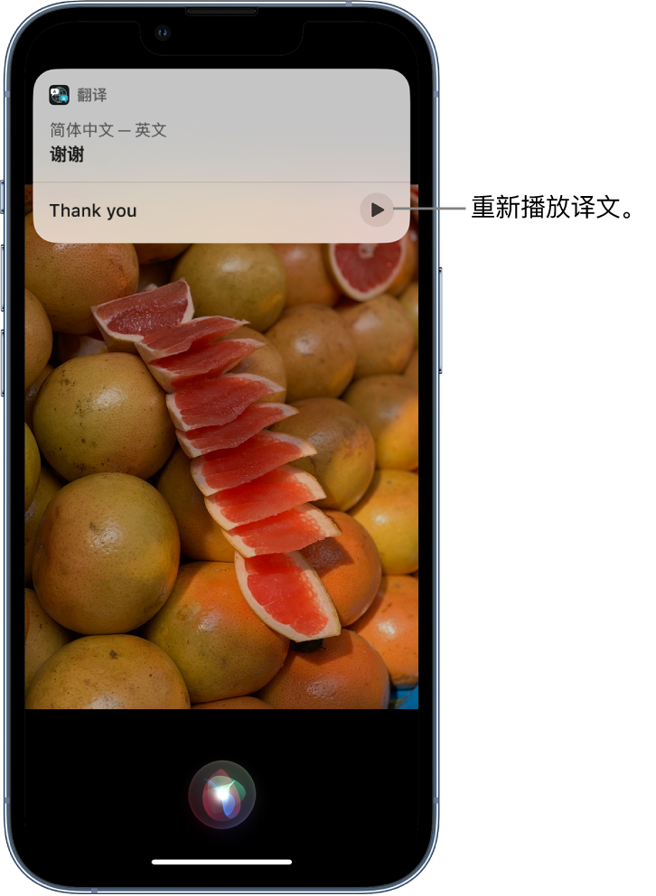 湘西苹果14维修分享 iPhone 14 机型中使用 Siri：了解 Siri 能帮你做什么 