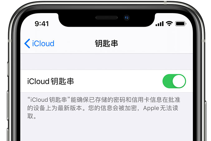 湘西苹果手机维修分享在 iPhone 上开启 iCloud 钥匙串之后会储存哪些信息 